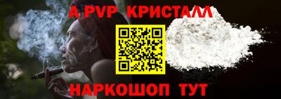 СК Краснодар
