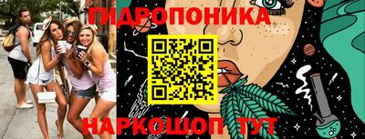 СК Краснодар