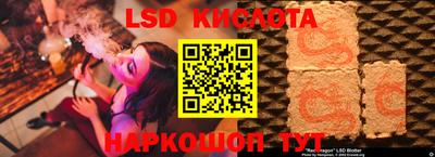 СК Краснодар