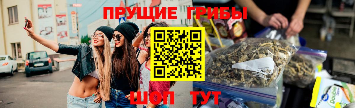 Псилоцибиновые грибы ЛСД  Вход с VPN  где продают наркотики  Уссурийск  Псилоцибиновые грибы MAGIC MUSHROOMS 
